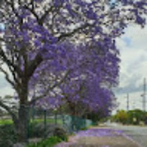 Meet your Posher, Tida